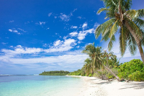 Comment préparer un itinéraire de camping pour découvrir les plages sauvages de la côte atlantique?