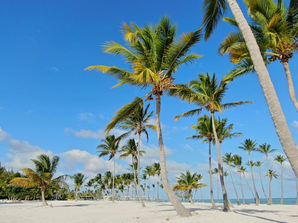 Hôtel 5 étoiles courchevel : une expérience alpine inoubliable